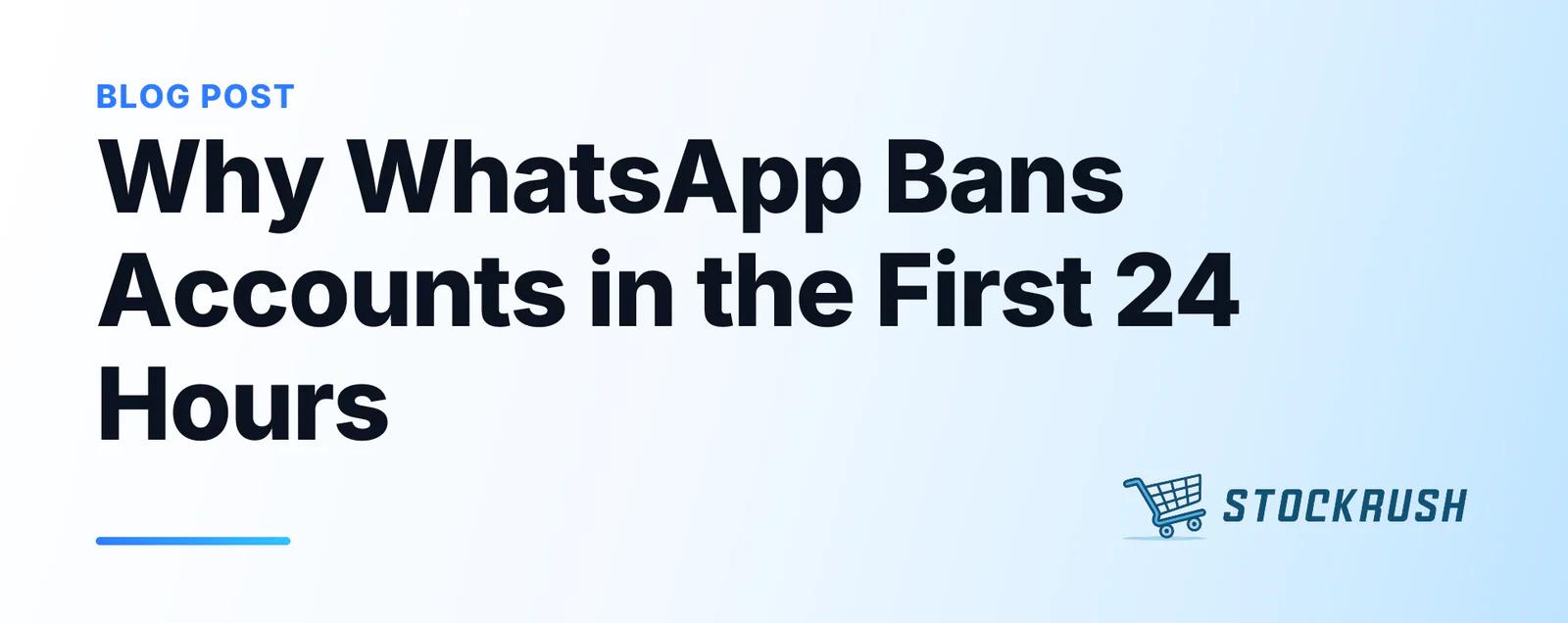 Why WhatsApp Bans Accounts in the First 24 Hours