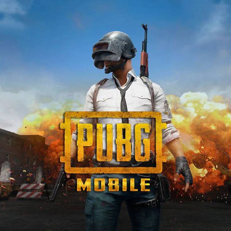 개인 사용 중인 오래된 오가닉 PUBG 계정